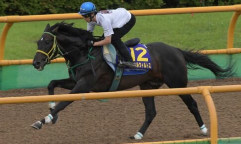 【函館記念】マイネルウィルトス余力十分　凱旋門賞へここは負けられない