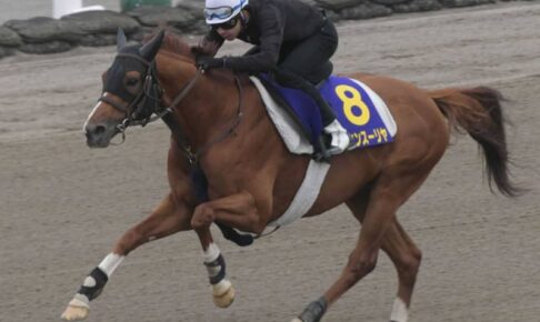 【函館記念】トーセンスーリヤ申し分なし　小野師も合格点「調子はいい」