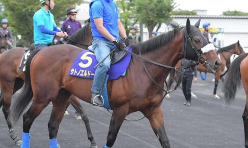 【函館記念】亀田、サトノエルドールで真のG獲る　葵Sで重賞初V、今度は格も