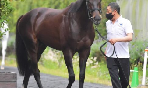 ダービー馬シャフリヤール　神戸新聞杯で始動　鞍上は引き続き福永