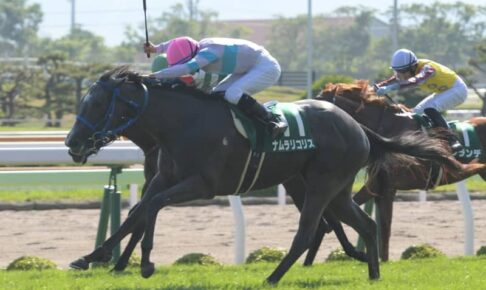 【函館2歳S】ナムラリコリスが抜け出してV　鞍上の泉谷と人馬で重賞初制覇