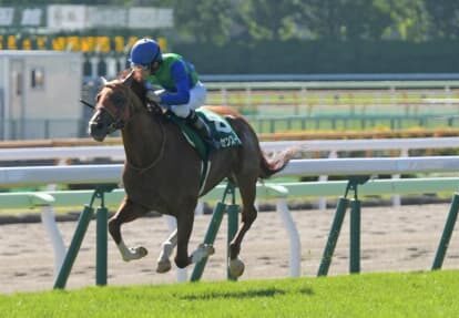 【函館記念】トーセンスーリヤが3馬身差Vで重賞2勝目 【函館記念】トーセンスーリヤが3馬身差Vで重賞2勝目