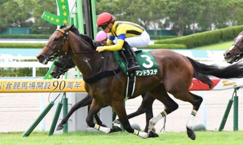 【中京記念】アンドラステが重賞初制覇