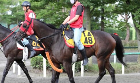 【アイビスSD】ヒロイックアゲン豊富な経験武器に反撃だ　前走敗因は特殊な馬場状態