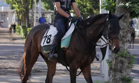 【クイーンS】イカット　一発狙う！波乱続出の夏競馬、格上挑戦で初の重賞へ
