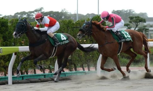 【エルムＳ】スワーヴアラミスが差し切り重賞2勝目　松田大作騎手は6年ぶりタイトル「乗せていただいた関係者の方々に感謝しています」