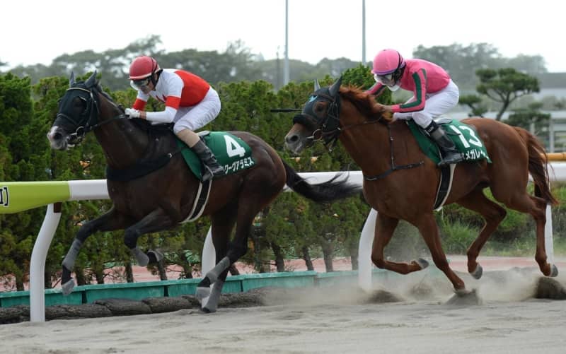 【エルムS】スワーヴアラミスが差し切り重賞2勝目 松田大作騎手は6年ぶりタイトル「乗せていただいた関係者の方々に感謝しています」 【エルムS】スワーヴアラミスが差し切り重賞2勝目 松田大作騎手は6年ぶりタイトル「乗せていただいた関係者の方々に感謝しています」