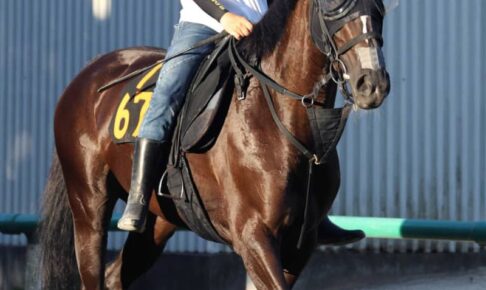 【関屋記念】ソングライン3歳真夏の大冒険　林師「挑戦者の立場で頑張りたい」