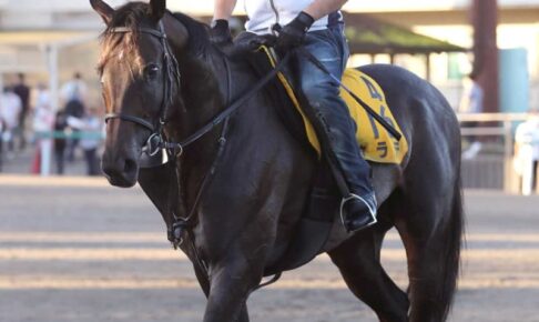 【関屋記念】カラテ　気合の一本で復活の金メダルつかむ　高橋祥師「脚元の不安ない」