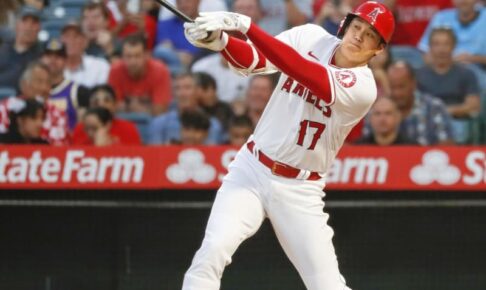 大谷はダブルヘッダーで1安打　沢村2／3回を無失点