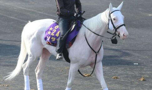 【札幌記念】ソダシ巻き返す　ひと夏越して心身成長、乗り込まれて好仕上がり
