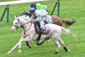 【札幌記念】“白毛のヒロイン”ソダシが雨中の最終追い　須貝調教師「いい形で復帰戦を迎えられる」