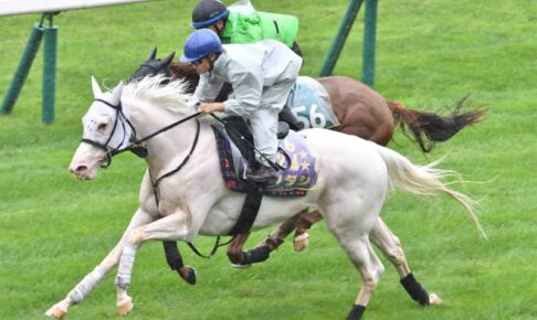 【札幌記念】“白毛のヒロイン”ソダシが雨中の最終追い　須貝調教師「いい形で復帰戦を迎えられる」