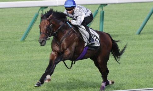 【札幌記念】刺客探しならユーキャンスマイル　北の大地で弾んだラスト1F11秒6