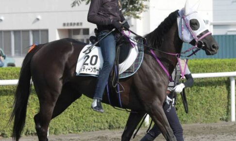 【キーンランドC】エイティーンガール上積み十分　陣営「コンディションいい」