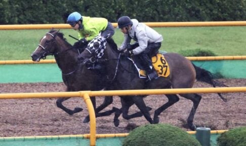 【キーンランドC】レイハリア　走る気十分　雨もモノともせず楽々併入