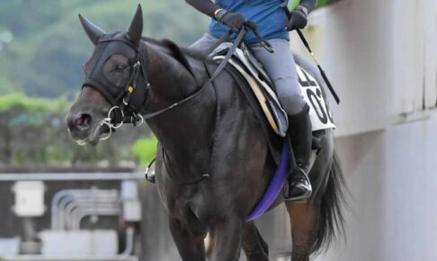 【新潟記念】ラインベック　混戦制す　友道師「重賞でもやれる」