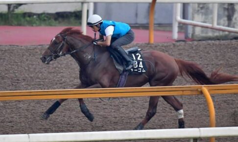 【新潟記念】ラーゴム　心身成長　唯一の3歳馬が古馬撃破へ