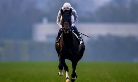 「インゼルサラブレッドクラブ」が発足　ロードカナロア産駒など良血馬１９頭をラインアップ