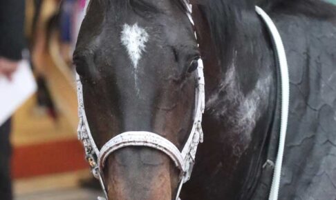 【仏ＧⅡフォワ賞】ディープボンド逃げ切りＶ　大久保調教師「今日の馬場はベストコンディション」