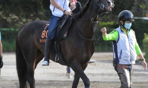 【セントライト記念】タイトルホルダー戴冠へ始動　Vで菊花賞に弾みつける