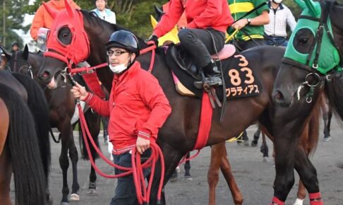 【セントライト記念】グラティアス　姉レシステンシアに続け　加藤征師「中山は合う」