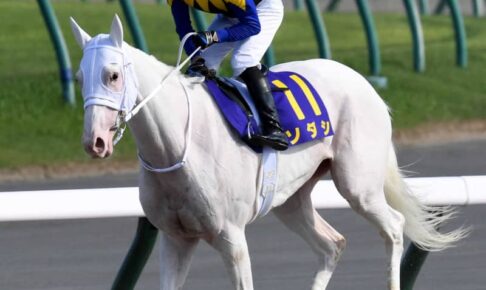 白毛馬ソダシの秋華賞参戦が正式決定