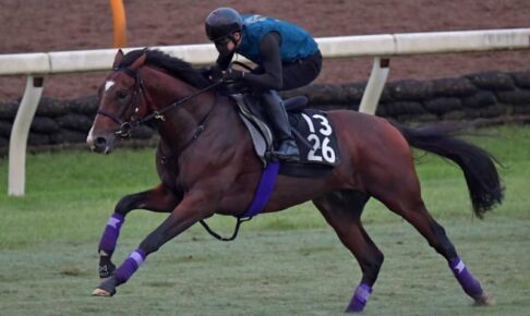 【セントライト記念】ルペルカーリア　実戦並みに切れた　友道師納得「前進気勢あった」