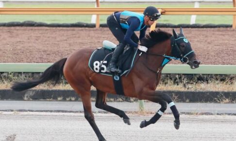 【ローズS】イリマ　動き軽快！目下2連勝中の勢いで重賞初挑戦V決める