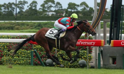 【中京競馬・新馬５Ｒ】ディープ産駒トゥデイイズザデイが快勝　武豊「乗り味がいい馬で今後が楽しみ」