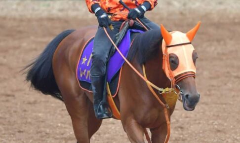 【オールカマー】レイパパレがらっと変身　高野師「体が減らなくなった」