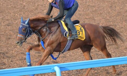【オールカマー】ウインマリリン 文句なし　手塚師は5カ月ぶりの実戦へ好勝負にらむ