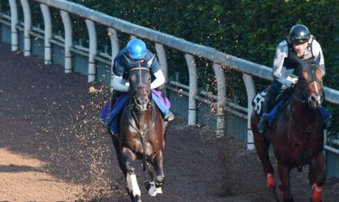 【競馬】【神戸新聞杯】シャフリヤール 王者の行進！自己ベスト2秒8更新　藤原英師も太鼓判