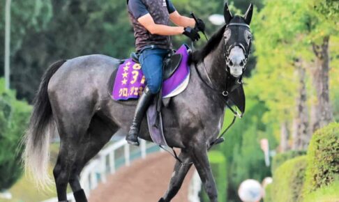 【凱旋門賞】国内現役最強牝馬クロノジェネシス　「いつも通りの調整」で勝つ