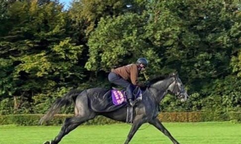 【凱旋門賞】クロノジェネシス　納得の動き　芝周回コースでしまい重視に