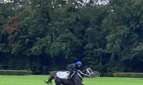 【凱旋門賞】ディープボンドは騎手変更　Cデムーロからバルザローナに