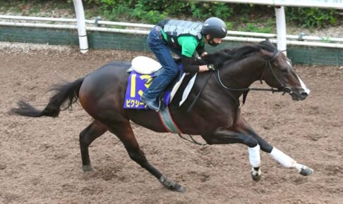 【スプリンターズS】ピクシーナイト　古馬に悠々先着　14年ぶり3歳馬Vへ好ムード