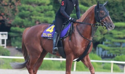 【スプリンターズS】クリノガウディー悲願へ万全　自然と位置取れる枠申し分なし