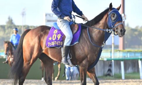 【毎日王冠】シュネルマイスター　距離問題なし　手塚師「調教を積むごとに良くなる」