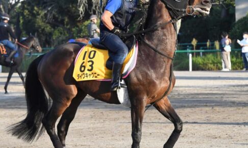【毎日王冠】府中の鬼・ダイワキャグニー　波乱起こす！4カ月ぶり実戦も好仕上がり
