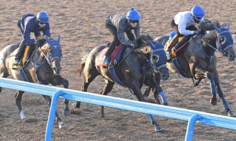 【秋華賞】ユーバーレーベン　手塚師は慎重な姿勢「急仕上げ否めない」