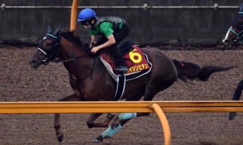 【秋華賞】エイシンヒテン　万全でG1へ　課題克服に向け渡辺師「リングバミ検討」