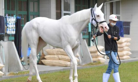 【秋華賞】ソダシ　2冠へ視界良好　腕利き厩務員も驚く急成長、阪神コースも追い風