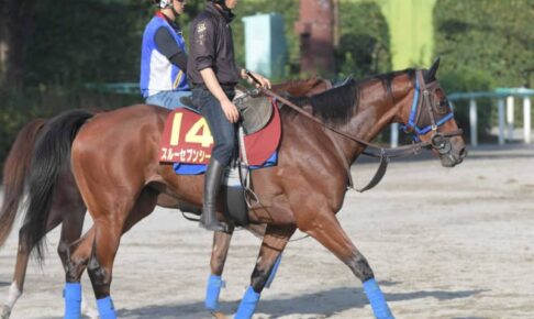 【秋華賞】スルーセブンシーズ　狙うぞ一発！底見せぬ能力　尾関師「これからの馬」