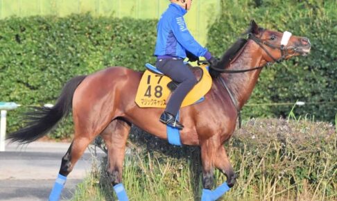 【府中牝馬S】国枝勢2頭出し 府中合うマジックキャッスル ドナアトラエンテ反撃へ 【府中牝馬S】国枝勢2頭出し 府中合うマジックキャッスル ドナアトラエンテ反撃へ