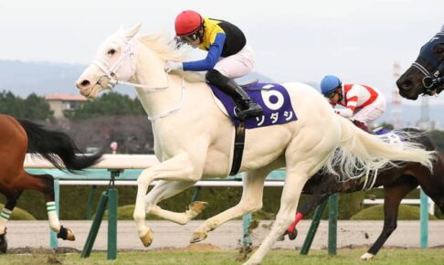 【秋華賞】桜花賞馬・ソダシは2枠4番、オークス馬・ユーバーレーベン6枠11番 枠順確定