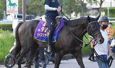 シャフリヤールはジャパンC参戦