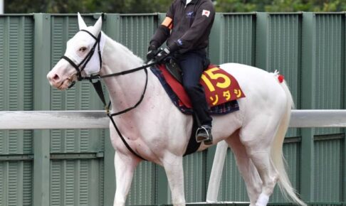 【秋華賞】ソダシ　絶好枠！桜花賞と全く同じ2枠4番　気力も充実、吉田隼に託す