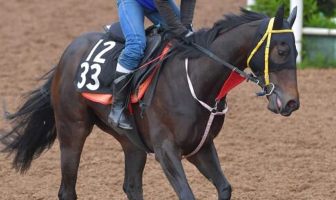 ヨカヨカが22日に退厩　調教中に骨折し、競走能力喪失
