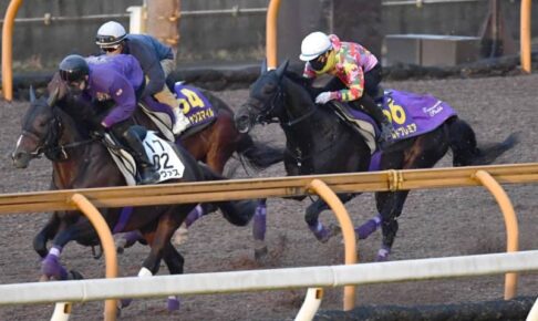 【天皇賞】ワールドプレミア　春秋盾連覇へ不安残す　併せ馬で4馬身遅れ